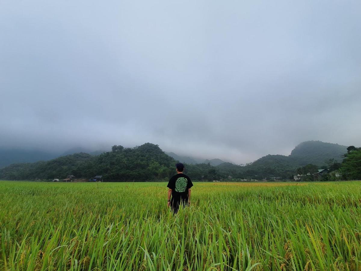 Rice Fields Mai Châu