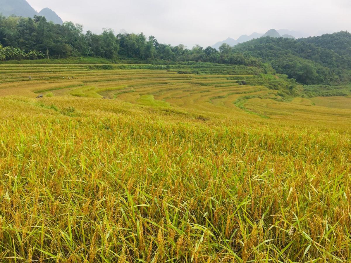 Pu Luong Ecolodge