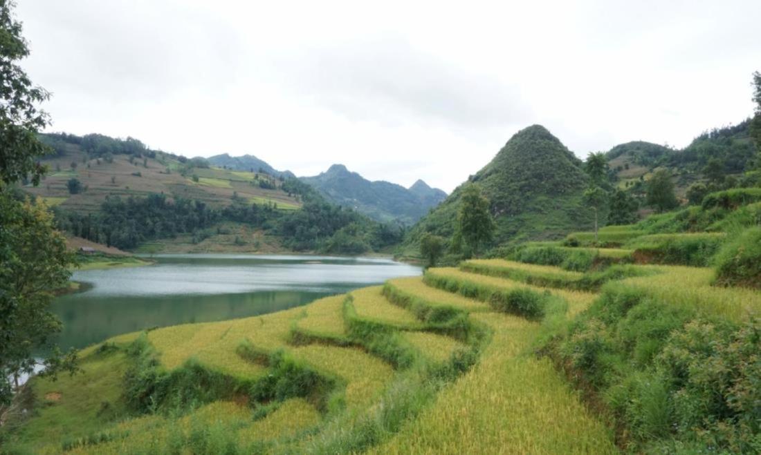 Ngan Nga New *