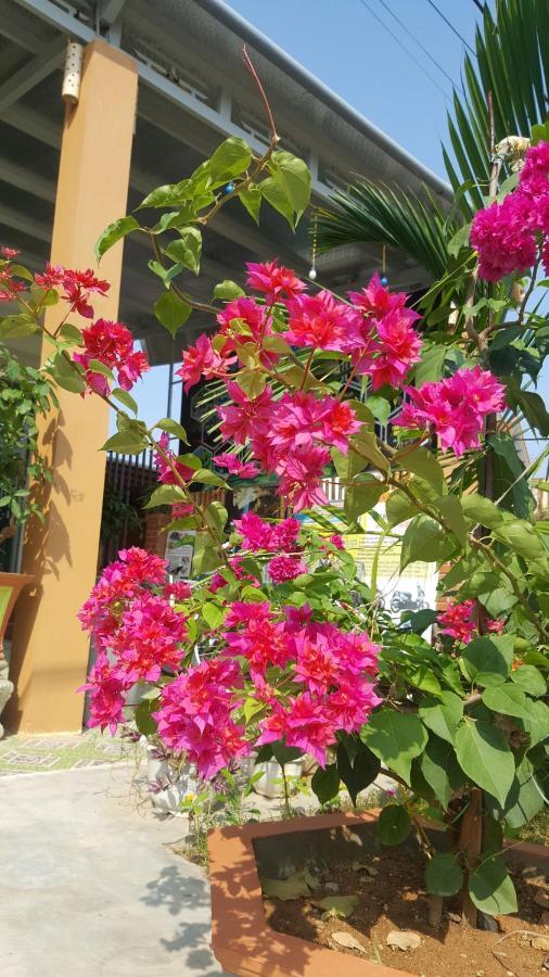 Phong Nha Love Homestay Bed & Breakfast