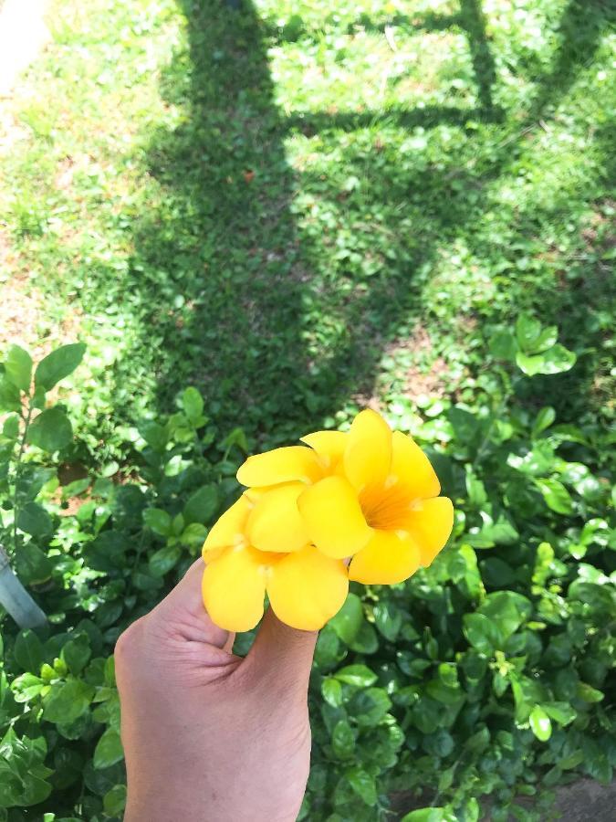 Anh Linh *