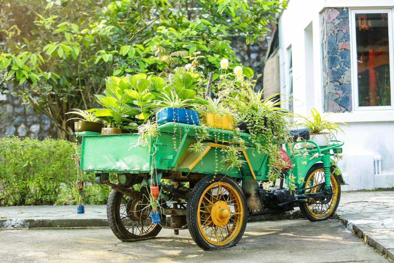 Cat Ba Eco *