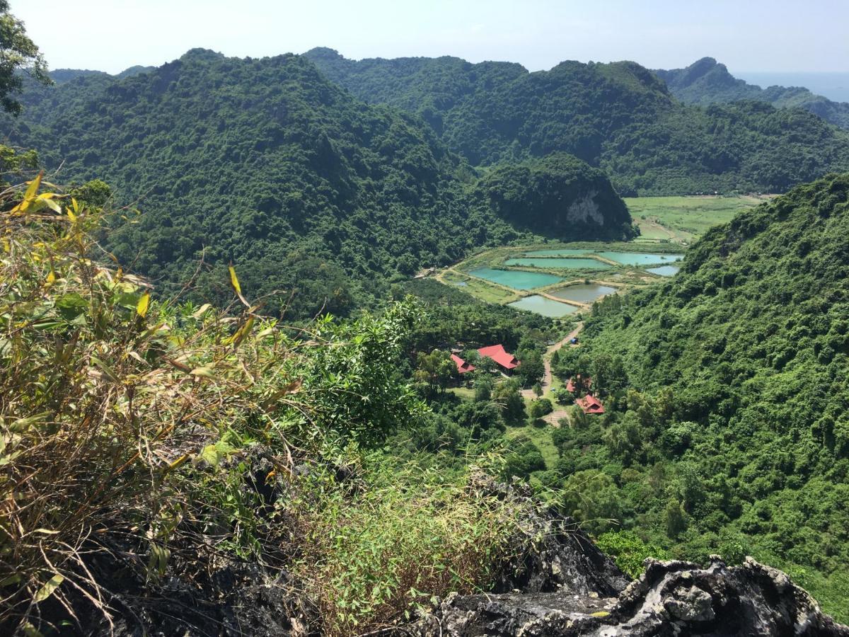 Cat Ba Eco Lodge