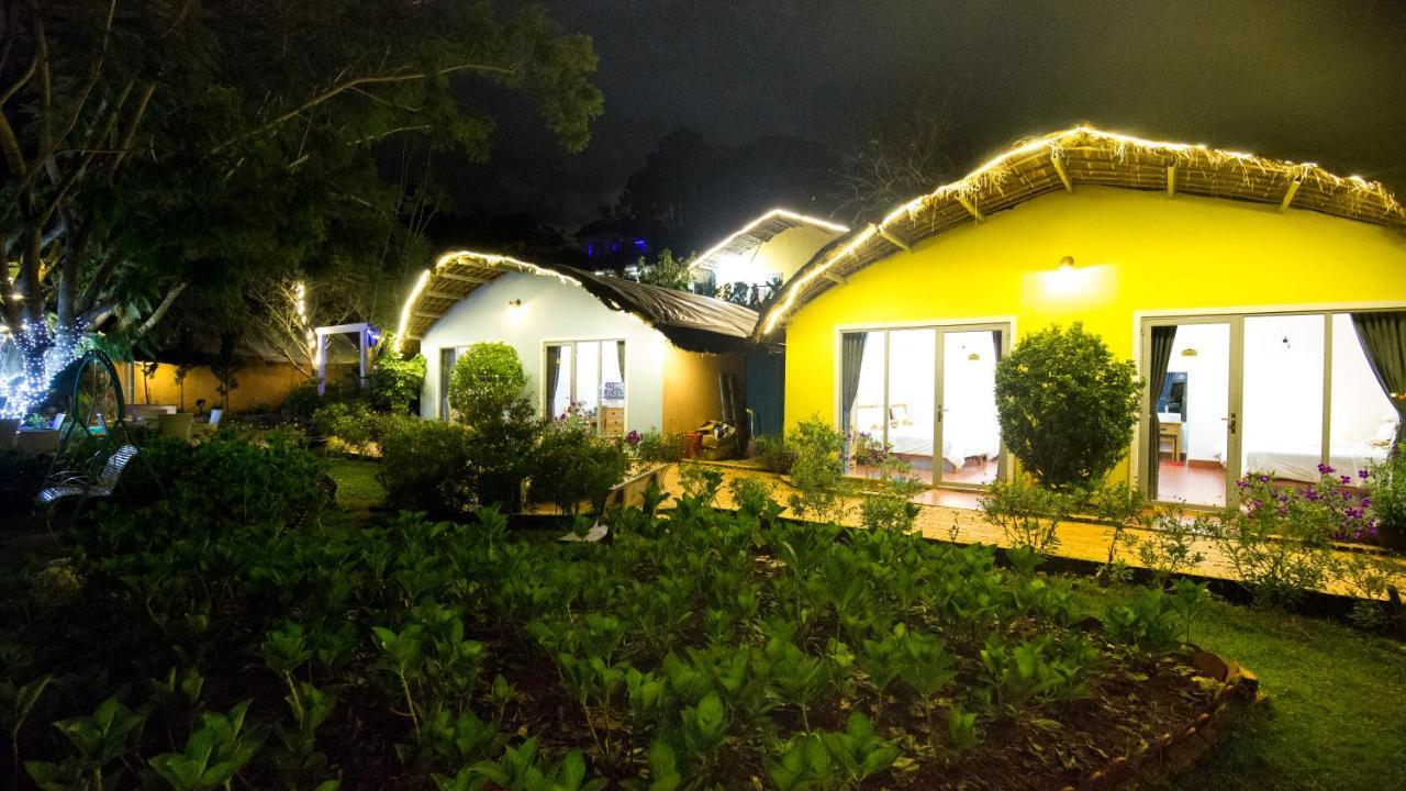 Cocoon 3*