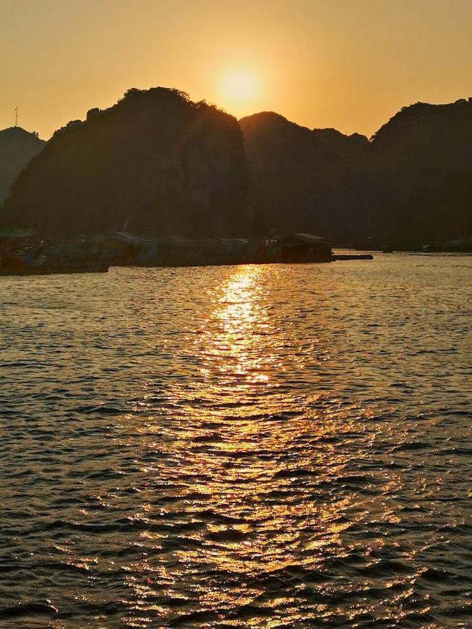 Dai Thuy Catba Hotel 2*