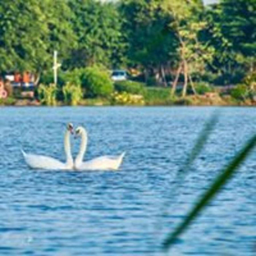 Căn hộ Sue Ecopark Hung Yen