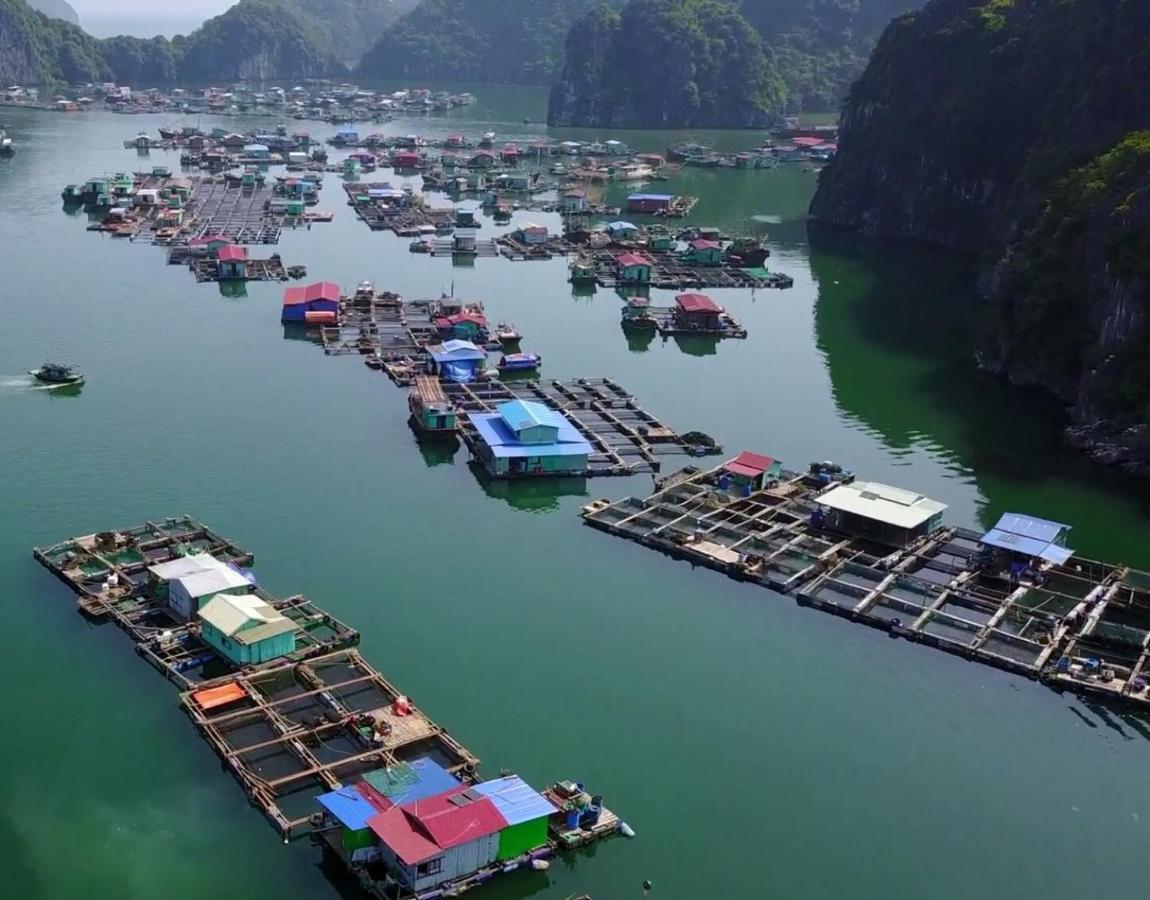 Cat Ba Thailand