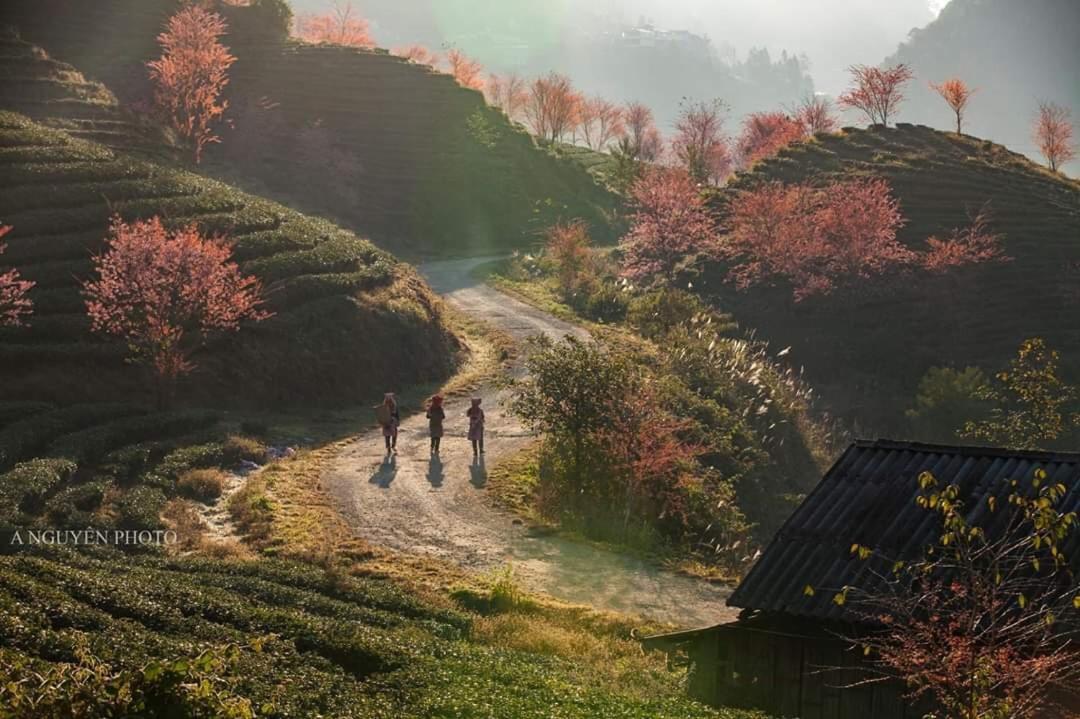 Ở trọ Dao Sa Pa