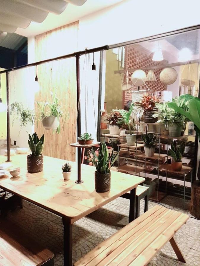 La Cool House Hostel Da Nang