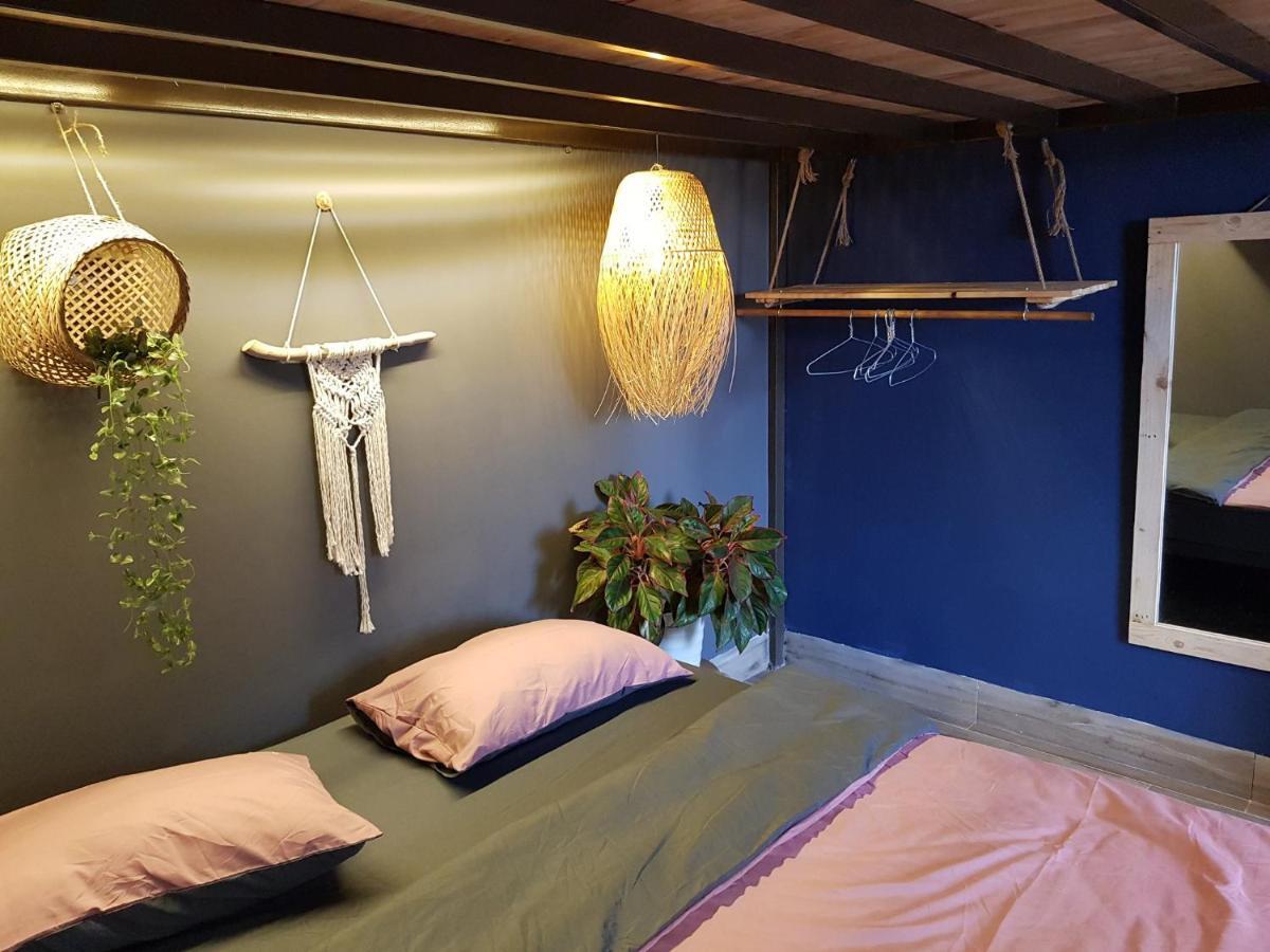 Hostel La Cool House *