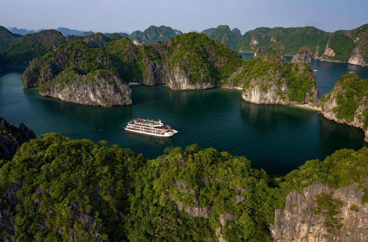 Dora Cruise By Hag 5*