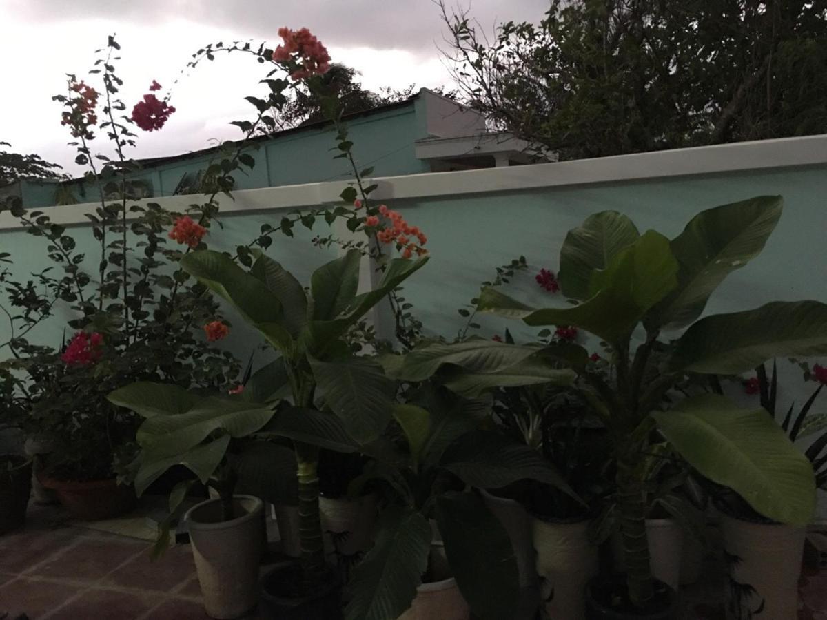 Con Son Island Guest house