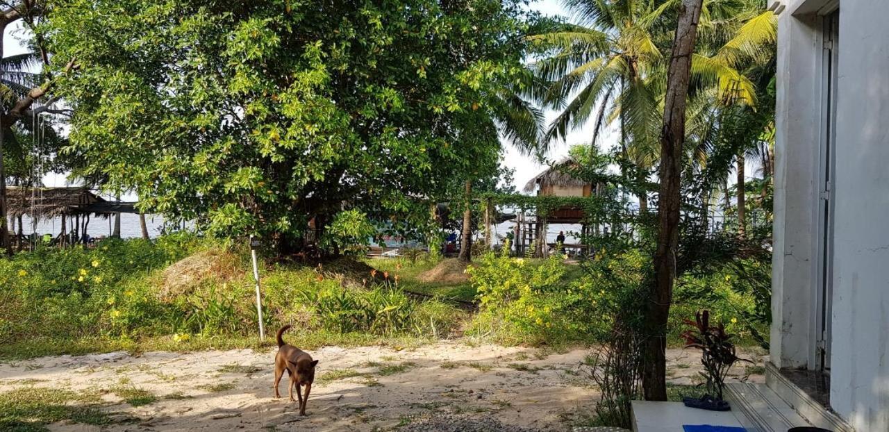 Luna Beach *