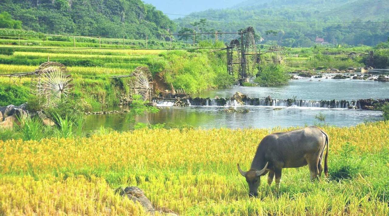 Boutique Garden Resort Pu Luong