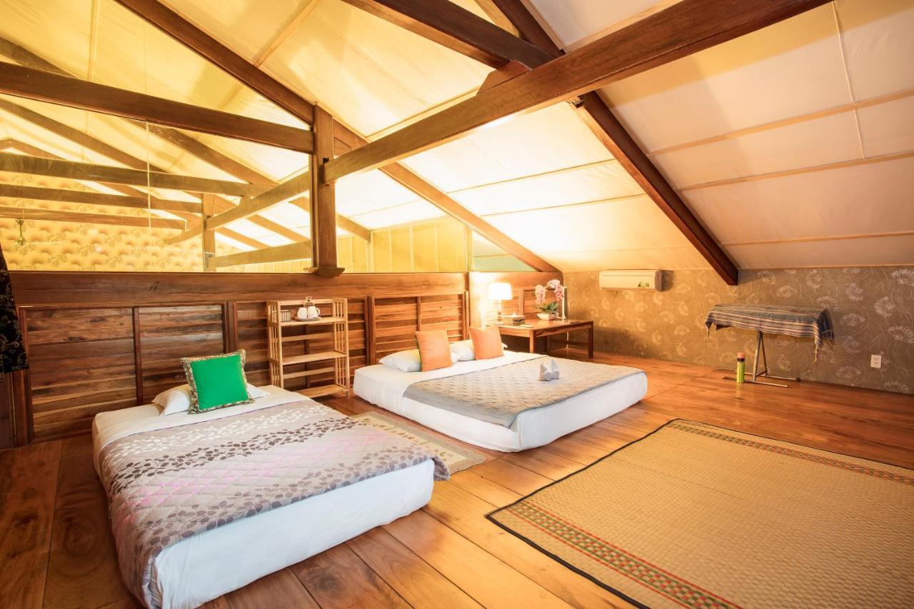 Jungle Hotel
