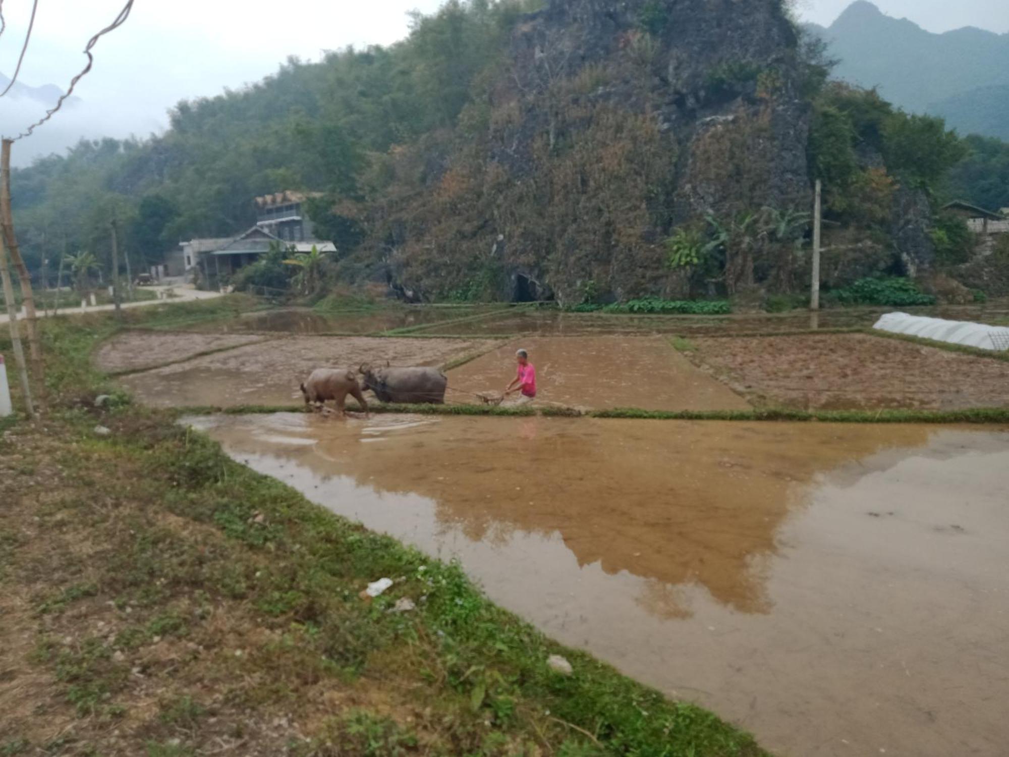 Ở trọ Truong Huy Mai Châu