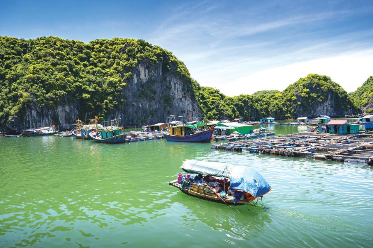  Sena Cruises - Wonder On Lan Ha Bay 5*