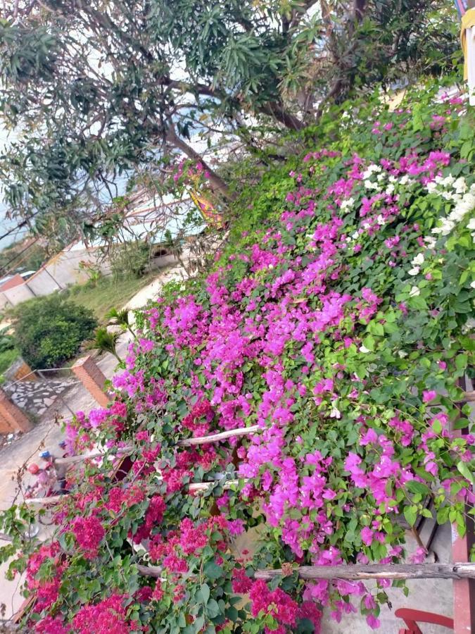 Guest house Confetti House 2*