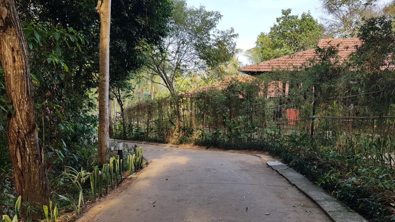 Khu nghỉ mát Eco