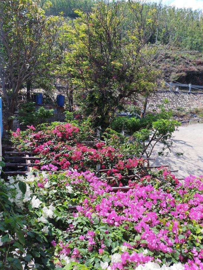 Gasthof Confetti House Quy Nhon