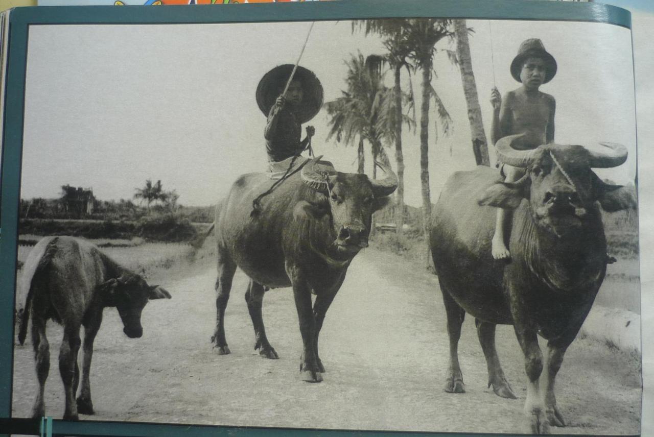 Thinh Phuc Ở trọ