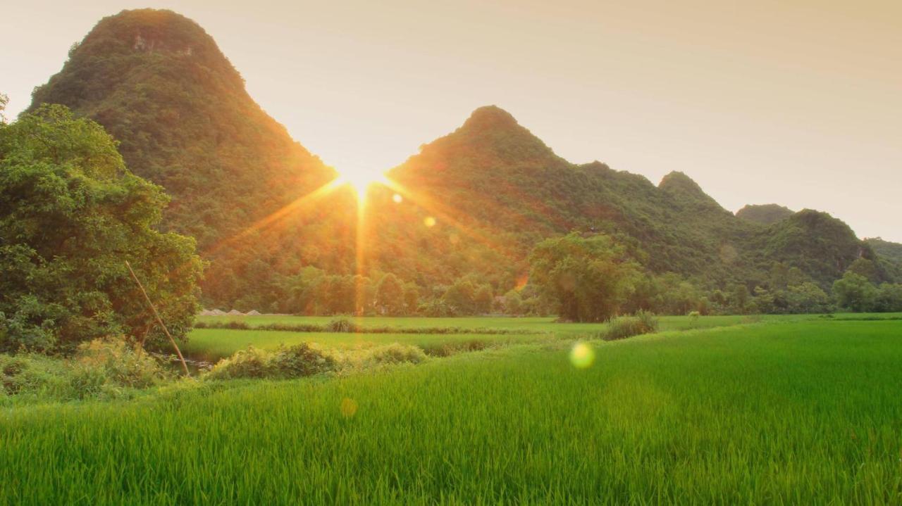 Tam Coc Marina Resort Ninh Binh