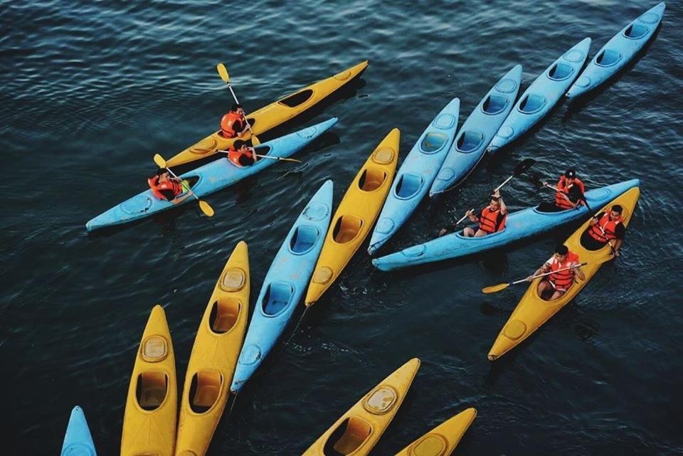 Lapinta Boutique Cruises 