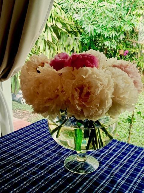 Resort Bamboo Garden Phú Quốc
