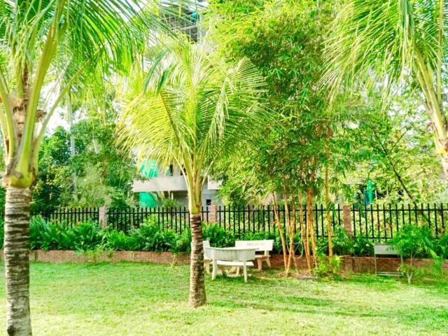 Bamboo Garden 2*