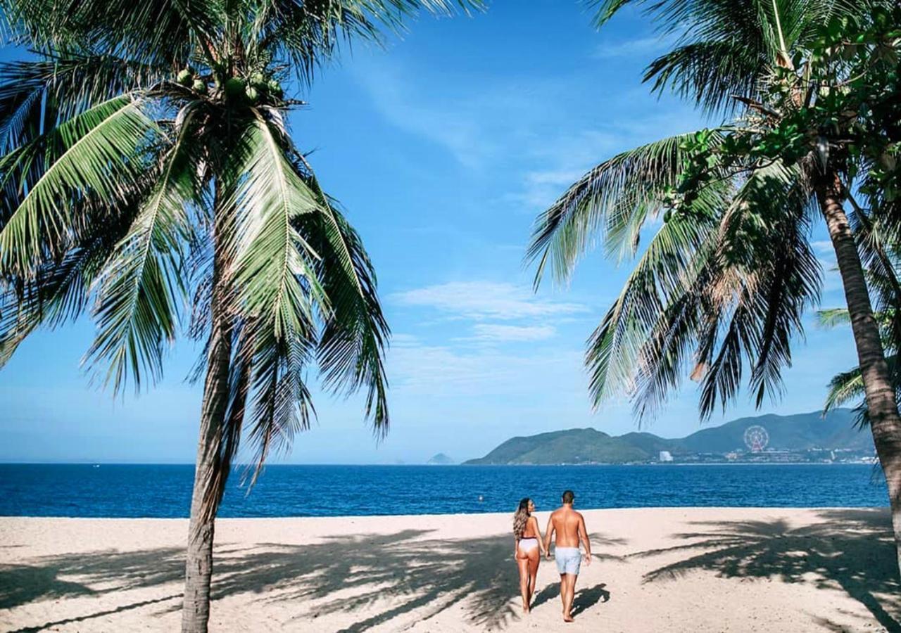 Begonia * Nha Trang