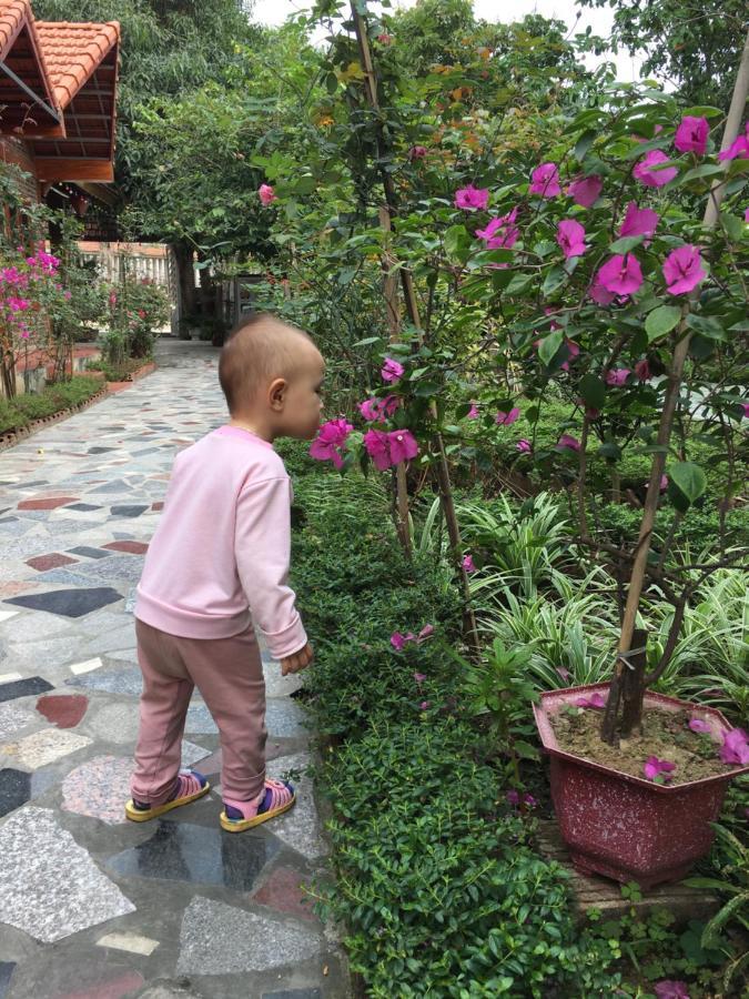 Homestay Tam Coc Thanh *