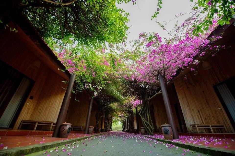 Thao Vien Resort *