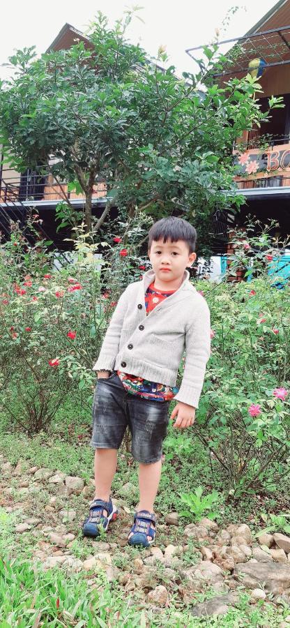 Bolero * Phong Nha