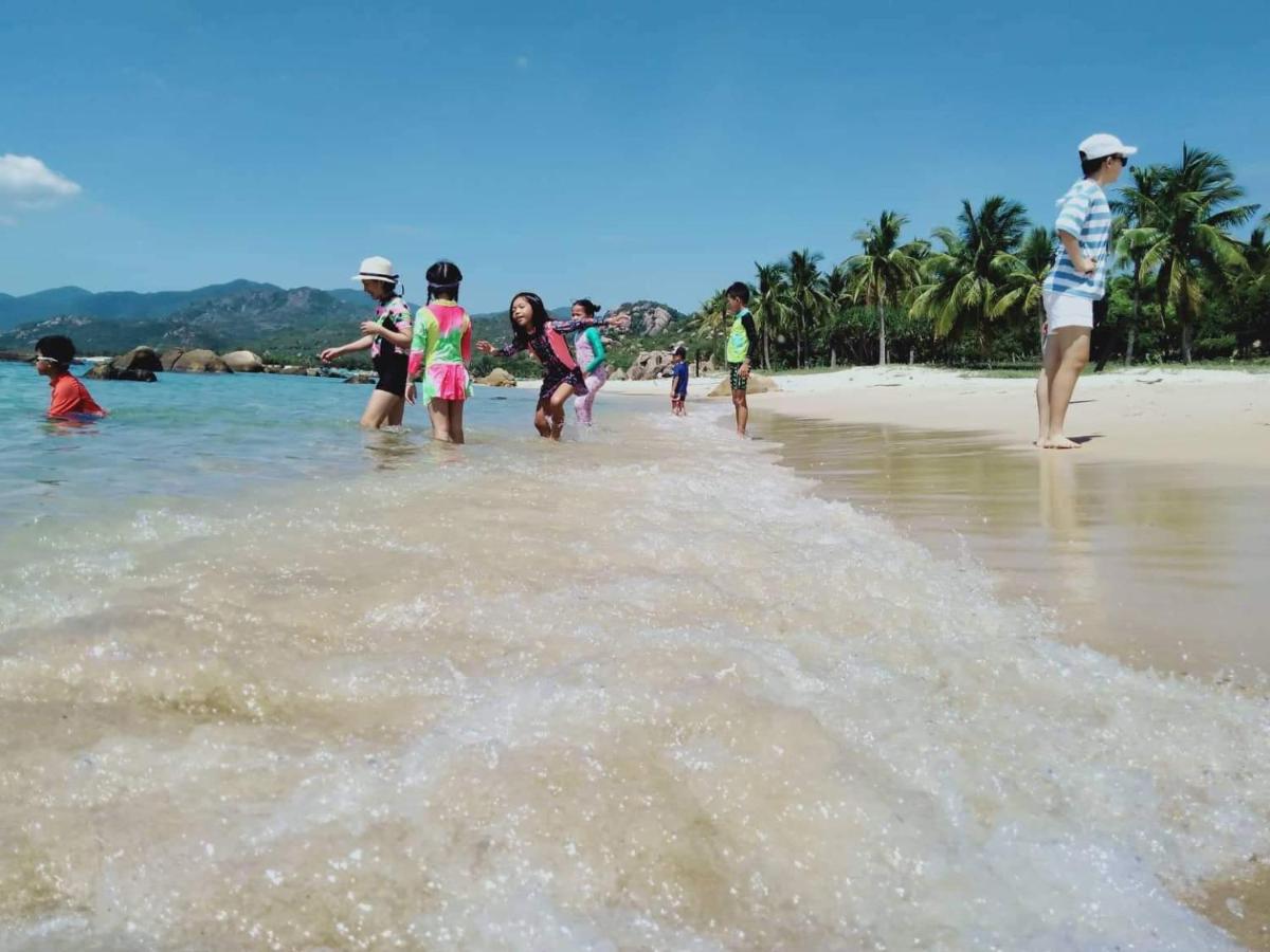 Dao Hoa Vang *