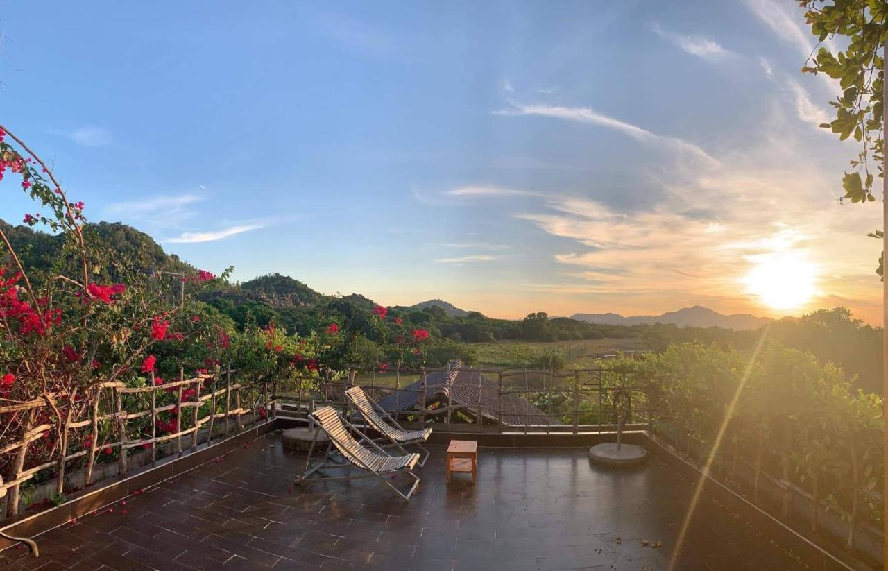 Dao Hoa Vang *