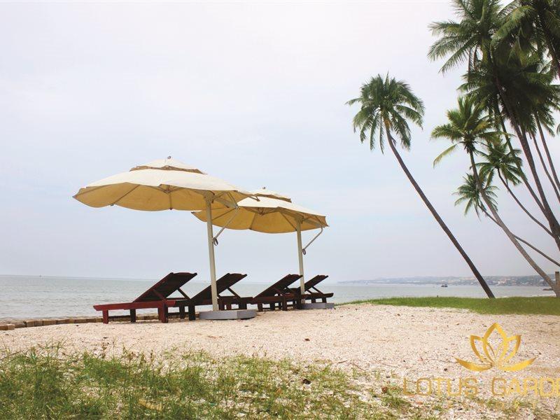 Hotel Lotus Garden Muine & 3*