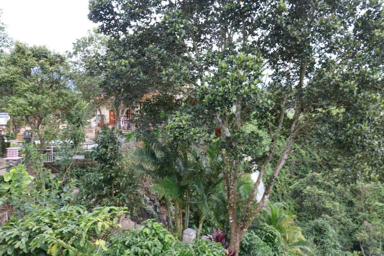 Ivory Falls Di Linh