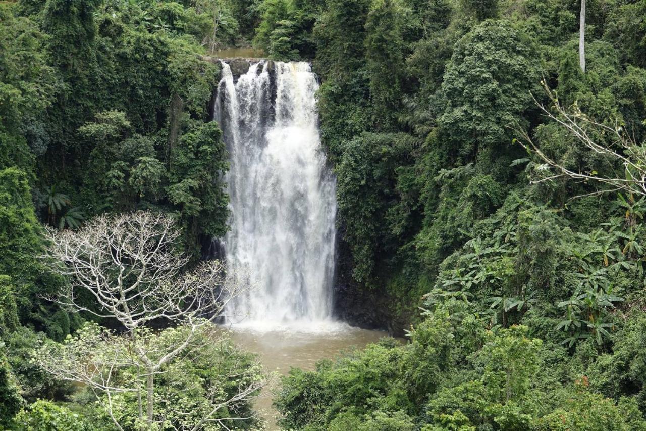 Resort Ivory Falls