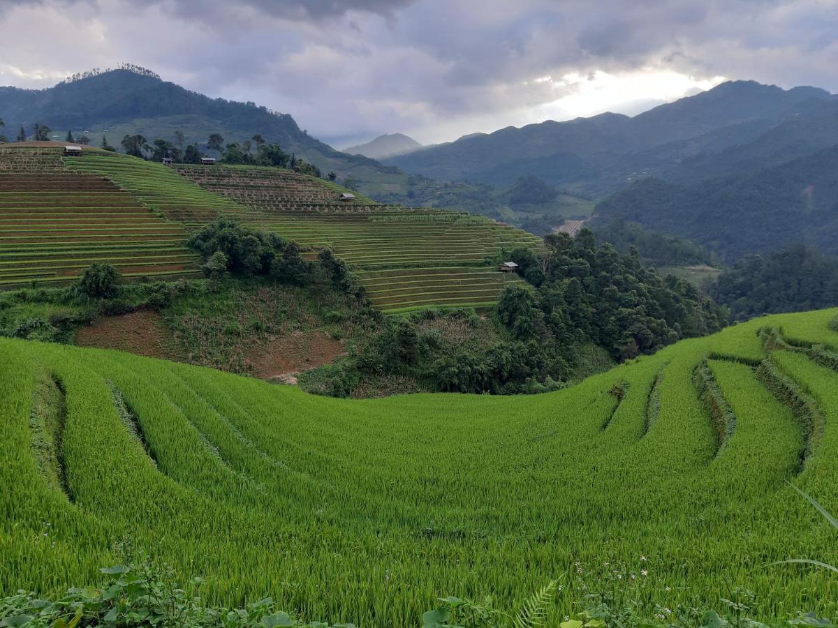 Lodge Backpacker Mu Cang Chai