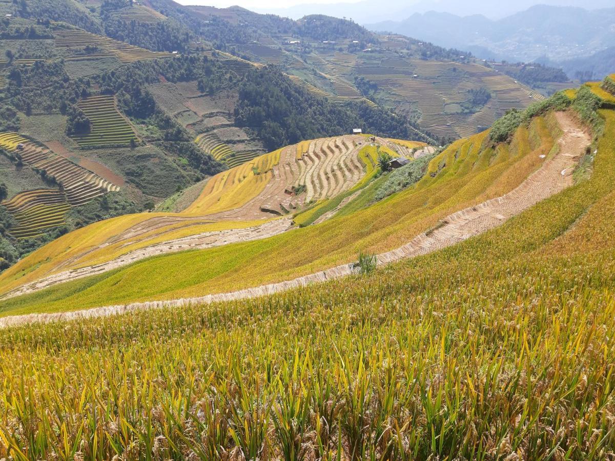 Backpacker Mu Cang Chai