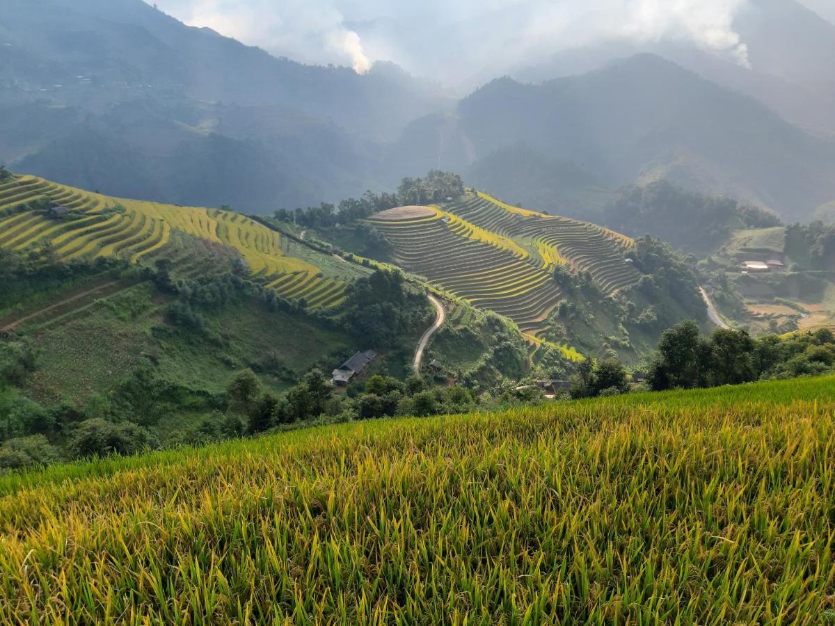 Backpacker Lodge Mu Cang Chai