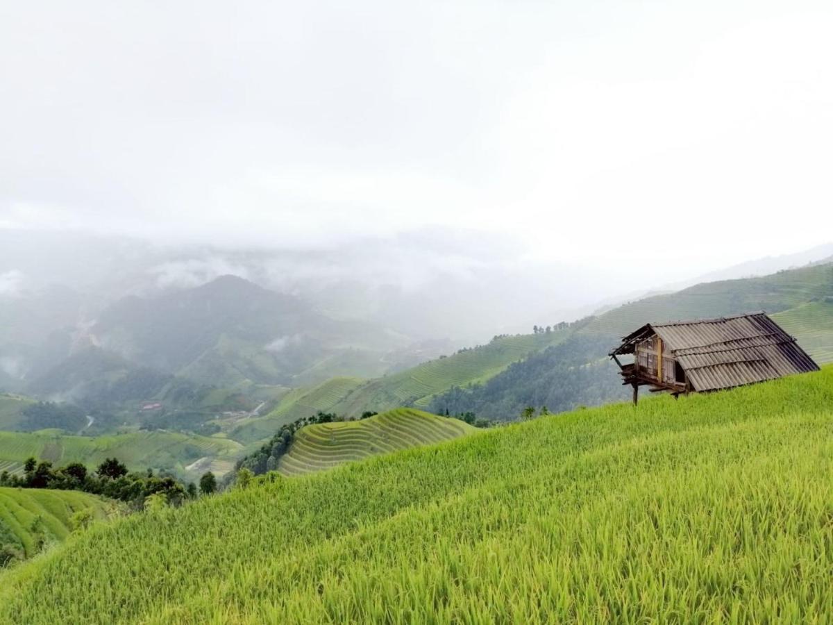 Backpacker Lodge