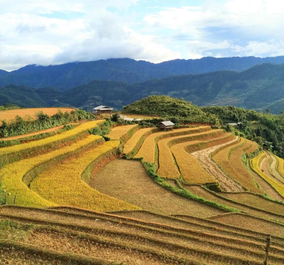 Backpacker Mu Cang Chai