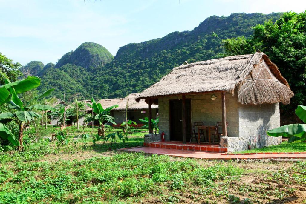 Resort Whisper Nature & Dong Khe Sau
