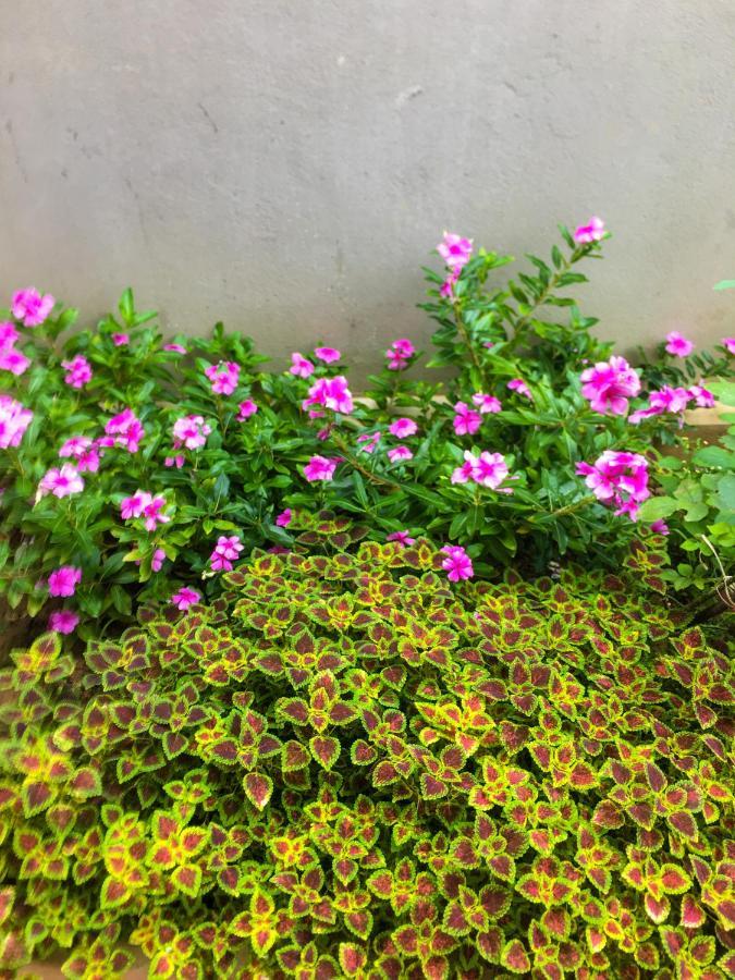 Nha Nghi Ngoc Long Bed & Breakfast Moc Chau