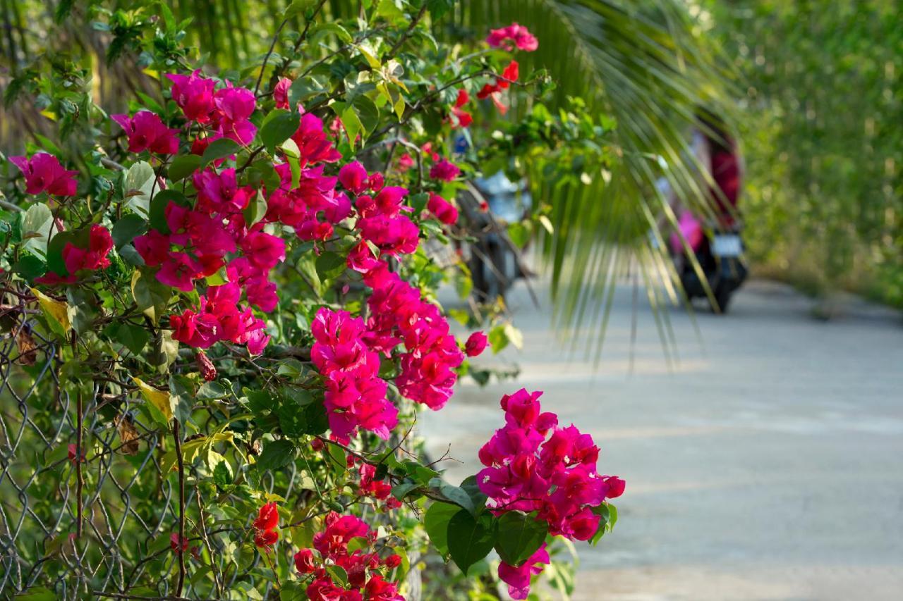Spring Garden Privatunterkunft