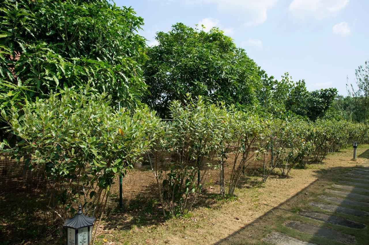 Spring Garden