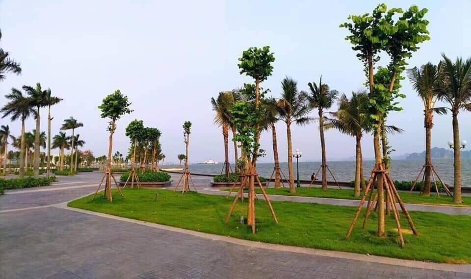 Sonny Homestay 2 -Can Lien Ke 5Pn -Khu Greenbayvillage - Duong Hoang Quoc Viet -Trung Tam Kdl Bai Chay * Ha Long