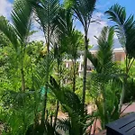 The Hill Resort