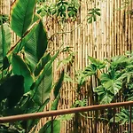 5-Homestay I